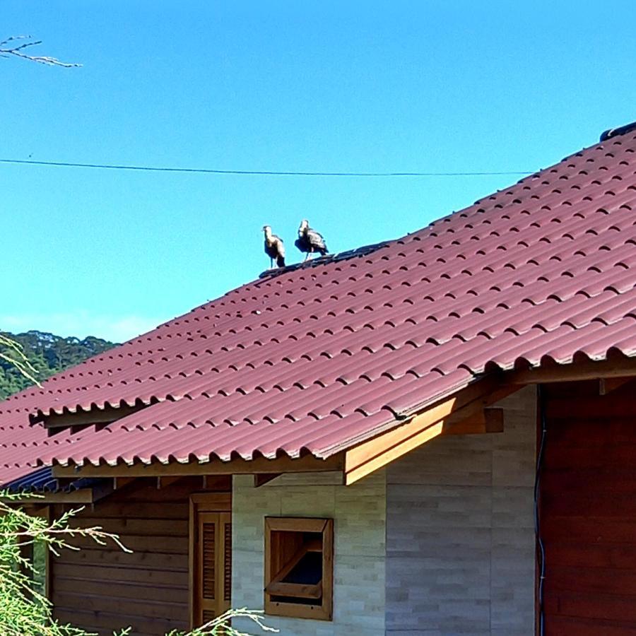 Villa Refugio Santo Antonio Urubici Exterior foto